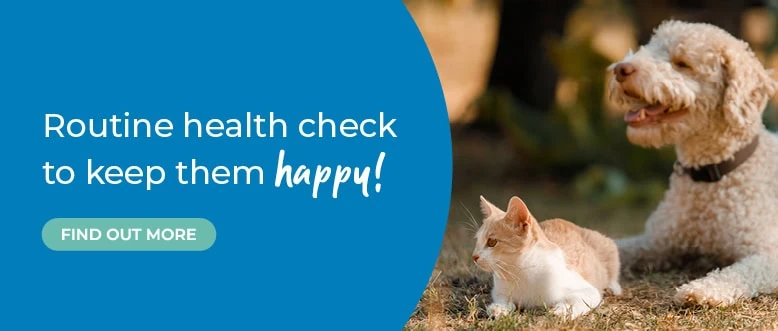 Ledbury Vets | Vets Near Me | Leadon Vale Veterinary Centre