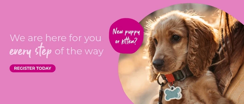 Ledbury Vets | Vets Near Me | Leadon Vale Veterinary Centre