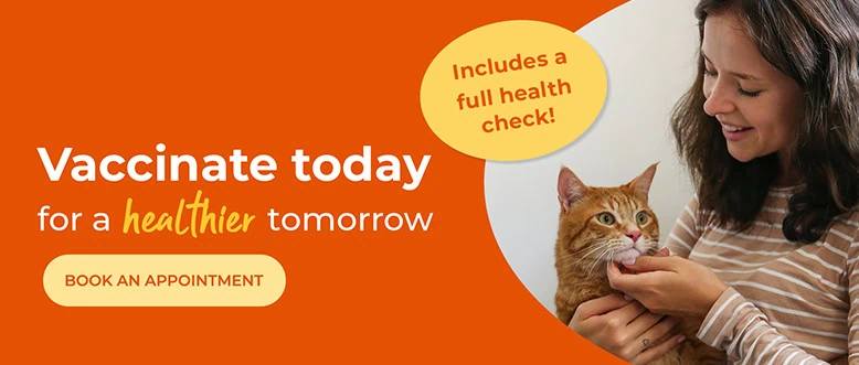 Ledbury Vets | Vets Near Me | Leadon Vale Veterinary Centre